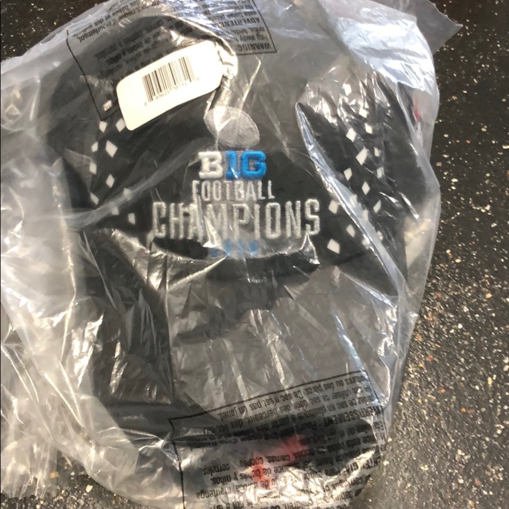2018 OSU Big Ten Champions hat